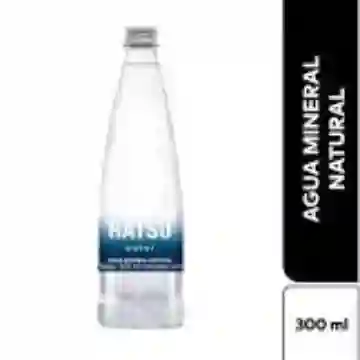 Agua Sin Gas 300Ml