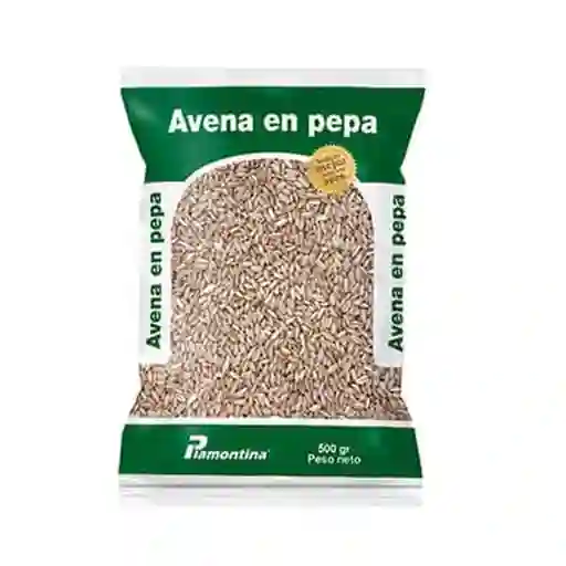 Avena en Pepa Alimento Para Aves