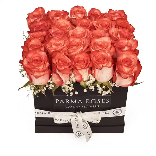 Flores Parma Flowers Caja De Mars