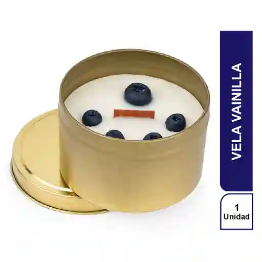 Innova Vela Vanilla HO0387