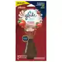 Glade Varitas Ambientador Manzana Canela Frasco con 100 ml y 6 Varitas