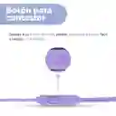 Audífonos Tipo C Micrófono Morado Mod 22E27 Miniso