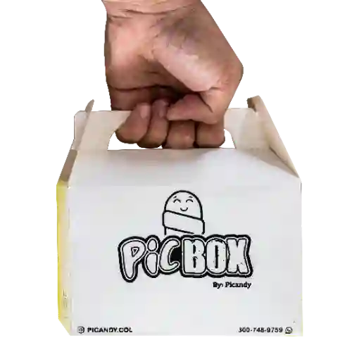 Picbox X20u