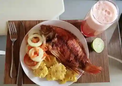 Mojarra negra