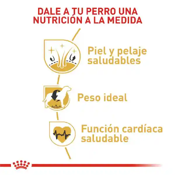 Royal Canin Breed Health Nutrition Cocker Adulto