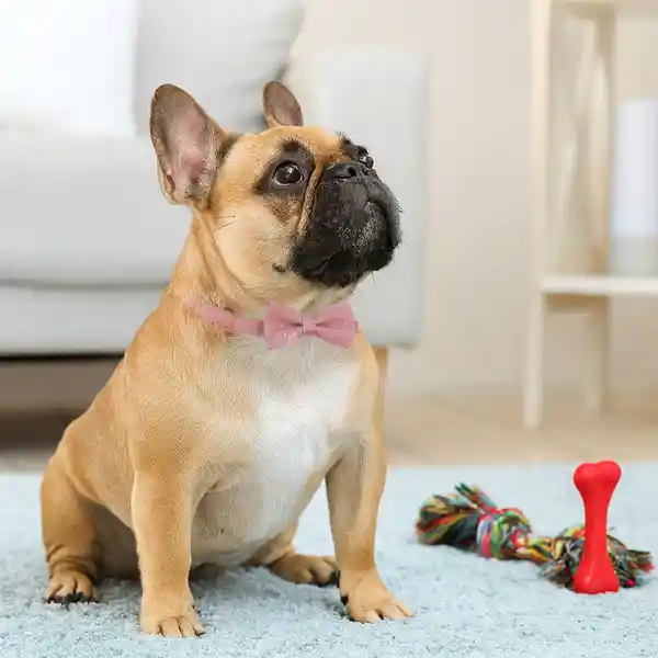 Collar de Corbata de Lazo Miniso