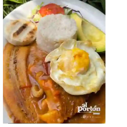 Bandeja Corriente