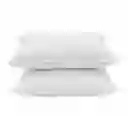 Members Selection Almohadas Home Collection