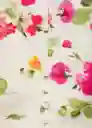 Blusa Bouquet Crudo Talla S Mujer Mango