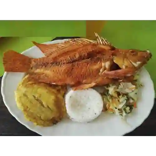 Mojarra