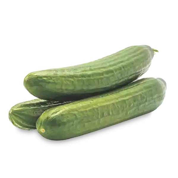 Marca Blanca Pepino Europeo