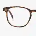 Barner Gafas Reading Dalston Carey + 2.00