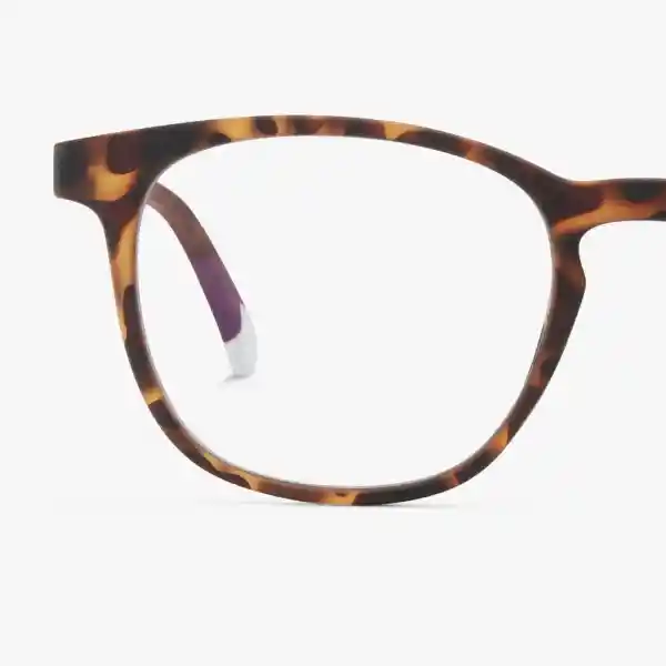 Barner Gafas Reading Dalston Carey + 2.00