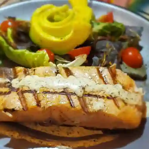 Salmon