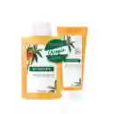 Klorane Shampoo Mango + Bálsamo