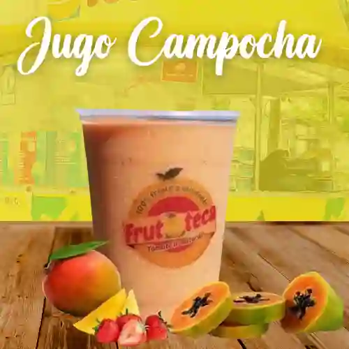 Jugo Campocha