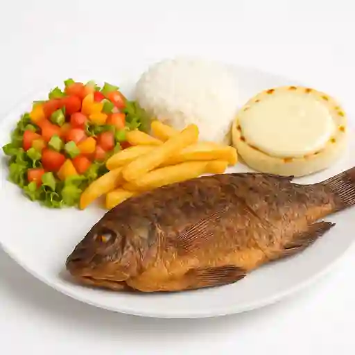 Tilapia