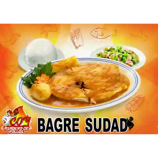 Bagre sudado