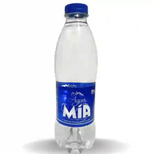 Botella de Agua Natural 300ml