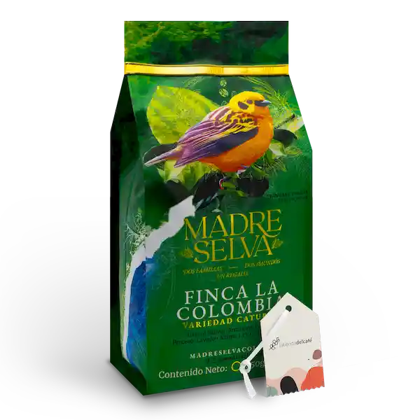 Madre Selva Café Especial la Colombia de Grano