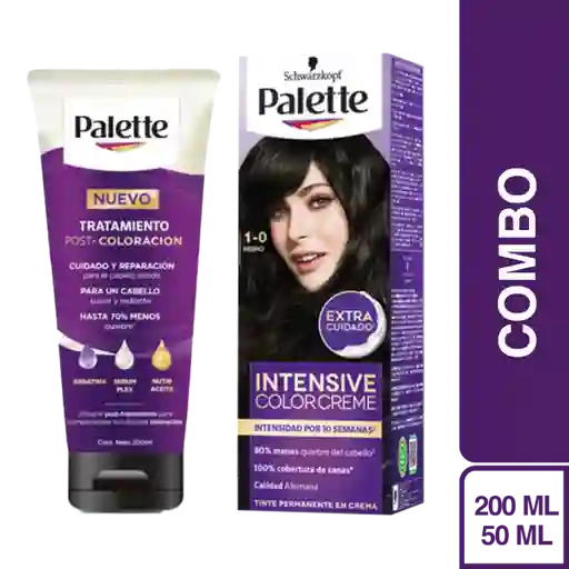 Combo Tinte Palette Color Creme 1-0 Negro+Tratamiento Post Color