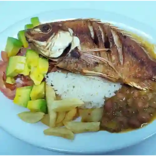Tilapia Roja