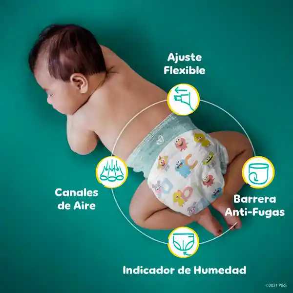 Pampers Pañales Desechables Etapa 5