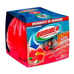 Humidex Absorbente Manzana Canela 80 Gr