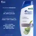 Shampoo Head Shoulders Dermo Sensitive Extractos de Sabila / Aloe Control Caspa Champu Head and Shoulders 180 ml