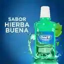 Oral-B Complete Explosión de Frescura Hierbabuena Enjuague Bucal 500 ml