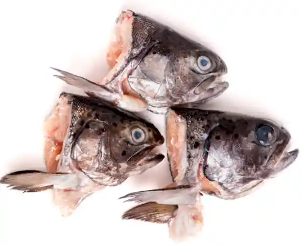 Cabeza de Pescado