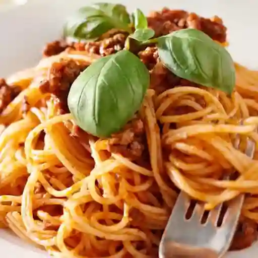 Bolognesa