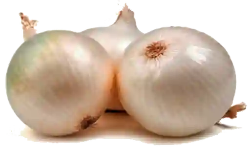 Cebolla Cabezona Blanca Pelada