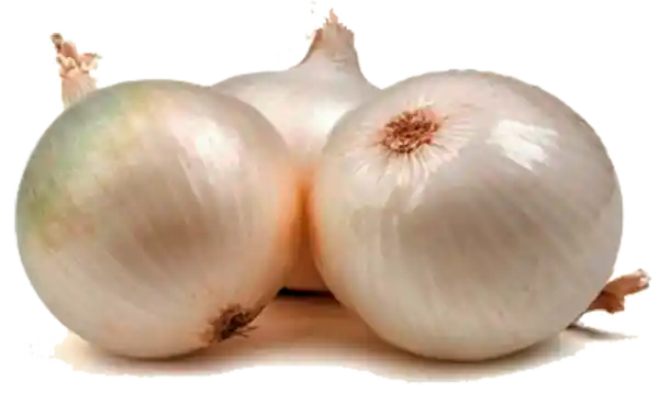 Cebolla Cabezona Blanca Pelada