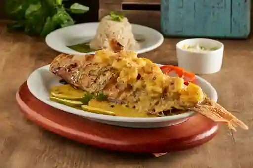 Pargo en Salsa de Camarones
