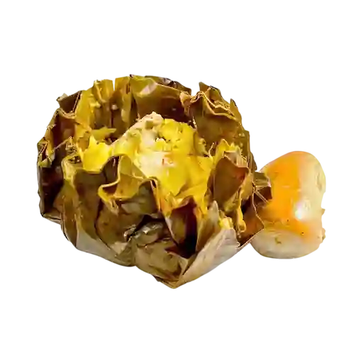 Tamal Tolimense