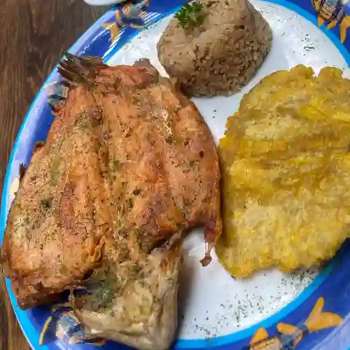 Trucha Frito O Al Ajillo