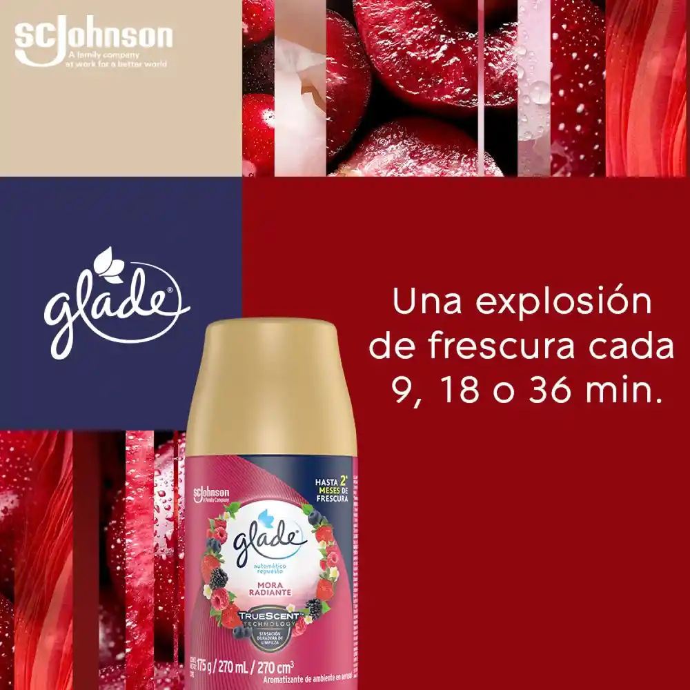 Glade Ambientador Automático en Aerosol Repuesto Mora Radiante