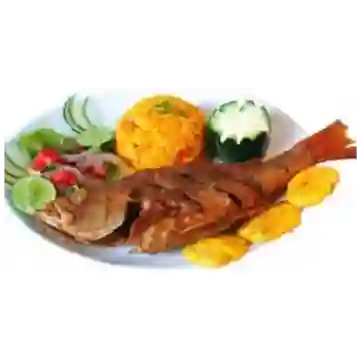 Robalo Frito