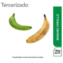 Banano Criollo