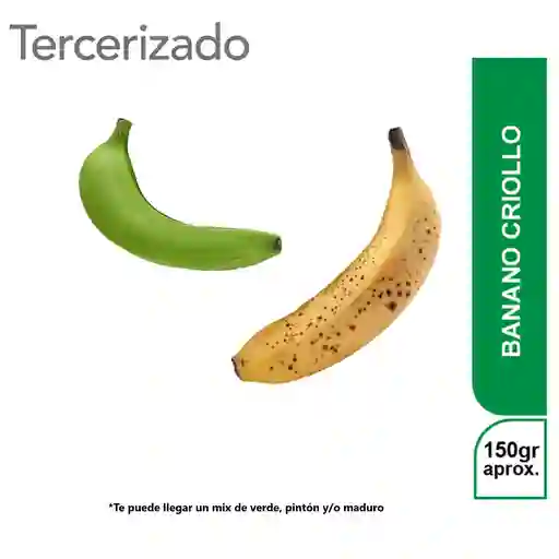 Banano Criollo