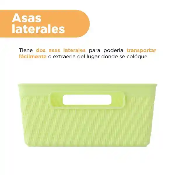 Organizador de Plástico Verde 24 cm Miniso