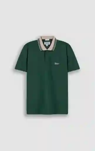 Camiseta Polo Hombre Verde Talla M 802G081_VER195918 Americanino