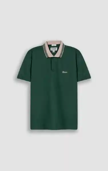 Camiseta Polo Hombre Verde Talla M 802G081_VER195918 Americanino