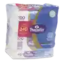Pequeñin Pañito Húmedo Acolchamax