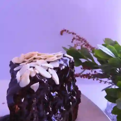 Porción Torta Chocolate y Almendras