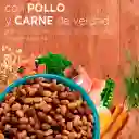 One Purina Alimento para Gatitos Pollo y Carne