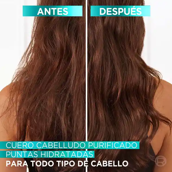 Pack Elvive Pure Shampoo + Acondicionador