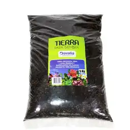 Davalia Abono Tierra Negra Jardinería