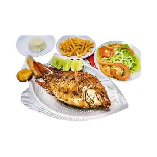 Mojarra frita